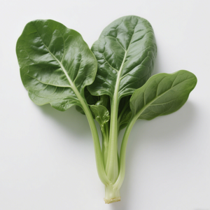 Vegetales Congelados de Alta Calidad en Oferta, Certificados por HACCP y BRC, Espinacas Congeladas IQF Cortadas - Product Image 2