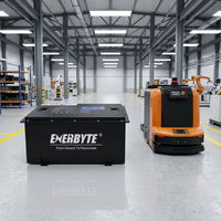 Paket Baterai Li-Ion Enerbyte Deep Cycle Solar LiFePO4 Lithium Ion untuk RV, Golf Cart, AGV, ISO