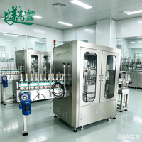 Équipement d'inspection automatisé pour l'élimination manuelle des défaillances de détection, qui complète le processus d'inspection des bouteilles de Baijiu, le test de tenue et le flux de travail d'emballage