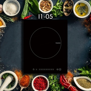 เตาแม่เหล็กไฟฟ้า 120V ทำความสะอาดง่ายสำหรับอพาร์ตเมนต์ - Product Image 5