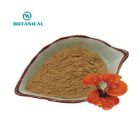 Poudre d'extrait de Reishi de marque privée OEM 30% Polysaccharides Capsule de café de champignon Reishi séché