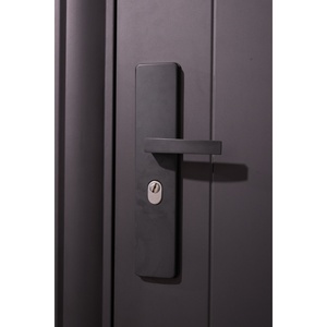 सजावटी धातु कस्टम स्टील सुरक्षा दरवाजा एंटी-चोरी न्यूनतम सुरक्षा दरवाजे अपार्टमेंट इंटीरियर के लिए तैयार आधुनिक - Product Image 6