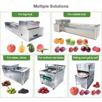 Hete Aanbieding Multi-Fruit Kersen Pruimen Pitjes Zaad Separator Motor Aangedreven Hoge Snelheid 208-400 Stuks/min Ontpitmachine
