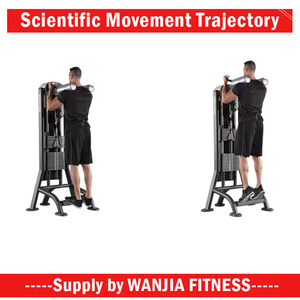 2025 Nhà Máy Trực Tiếp Thương Mại Nhà Sản Xuất Sức Mạnh Đào Tạo Pin Tải Tập Thể Dục Tập Thể Dục Đứng Bê Nâng Cao Máy - Product Image 5