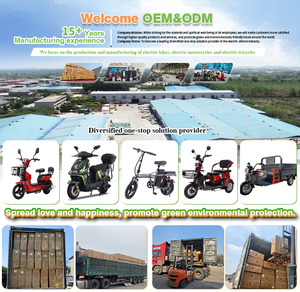 Meilleure vente 60v 800w vélo essieu arrière adulte adulte Liki Trike utilisé camion de nourriture pas cher japonais Tricycle électrique vente 3 roues - Product Image 2