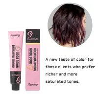 Geben Sie Haarfarb karte Färbung Haare Permanent Dye Cream für profession ellen Salon