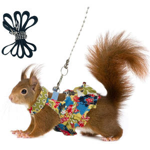 Nuevo Conjunto de Correa y Arnés Ajustable con Diseño Floral 2026, Apto para Hurones, Ardillas, Hámsteres y Otros Animales Pequeños - Product Image 2