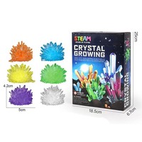 Kit scientifique de culture de cristaux en forme de plantes géantes National Geographic pour enfants, jouet STEM facile à réaliser soi-même