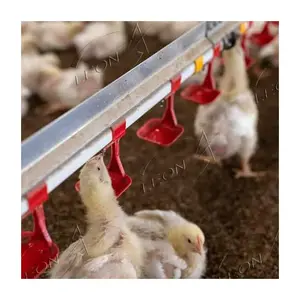 Bebedores automáticos para mamilo e frangos, para aves domésticas