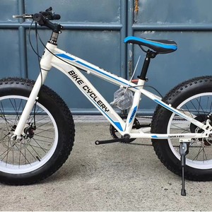 Bicicleta de Montaña con Llantas Anchas de 20 Pulgadas, 21 Velocidades, Frenos de Disco Dobles, Horquilla de Suspensión, Llanta de Aleación de Aluminio, Capacidad de Carga de 120 kg - Product Image 4