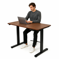 Nouveau bureau d'ordinateur portable extensible en acier inoxydable moderne, mobilier de bureau, bureau de jeu à double moteur, réglable électriquement