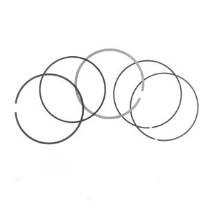 ชุดแหวนขนาดเส้นผ่านศูนย์กลาง 105.5 มม. สำหรับลูกสูบเอเธน่า - Product Image 2