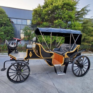 รถม้าไฟฟ้าสุดหรูสีดำแบบคลาสสิกสไตล์ยุโรป พร้อมหลังคาบังแดดสองแถว สำหรับการเที่ยวชมสถานที่ - Product Image 3