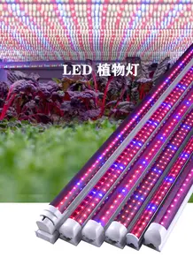 Vollspektrum-Ergänzungs-Anbau rohr Vertikal Landwirtschaft Voll innen Pflanzen T8 Led-Anbau-Lichter UV-Wachstums leuchte T5