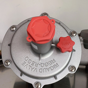 מפעל מכירות ישיר גז נוזלי בלחץ הרגולטור שסתום d601 מסחרי dn25 dn32 תוצרת סין - Product Image 4