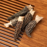 Morilles séchées biologiques de qualité supérieure cultivées en ferme, vente en gros d'usine