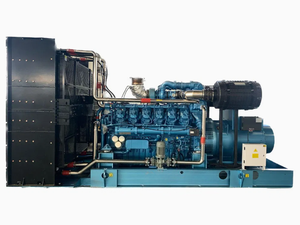 Générateur au gaz naturel GPL 60Hz 20kW 30kW 50kW 120/240V pour le marché nord-américain - Product Image 6