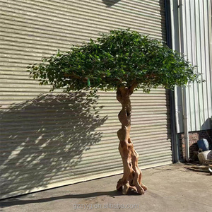 Plante Artificielle Personnalisée, Arbre Banyan Intérieur et Extérieur, Décoration de Spot Scénique pour Hôtel Centre Commercial, Faux Arbre, Ficus <span class=keywords><strong>Tre</strong></span> Vert - Product Image 6