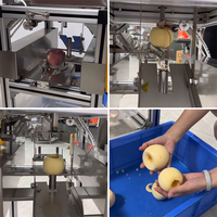 Automatische Multi-Fruit Schil-, Ontpit- en Snijmachine Appel- en Perenverwerkingsapparatuur Productielijn Systeem