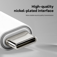 Nouveau Convertisseur Audio 8 Broches Femelle vers USB-C Mâle avec Protection OTP, Sortie CA, en Alliage d'Aluminium pour Téléphone Portable, Ordinateur Portable, Tablette LED