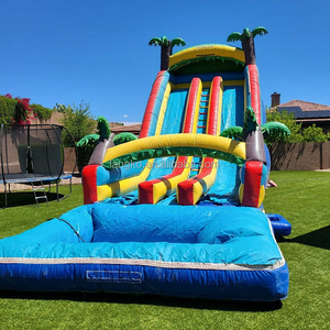 Tobogán Acuático Inflable de 22 pies con Doble Carril, Tobogán Seco Inflable, Tobogán Inflable <span class=keywords><strong>Gigante</strong></span>, Tobogán Inflable para Piscina - Product Image 1