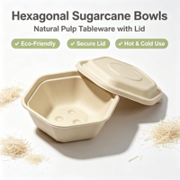 Bol hexagonal jetable en bagasse de canne à sucre avec couvercle, 1000 ml, compostable, biodégradable, en pulpe de papier, pour plats à emporter