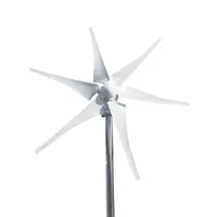 Generatore eolico orizzontale a energia pulita 1kw 12v 24v 48v per uso domestico
