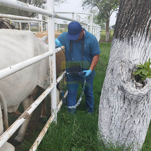 Miglior prezzo Mini dispositivo veterinario ad ultrasuoni sonoscapeultrasuoni strumenti medici per suino vacca da compagnia - Product Image 6