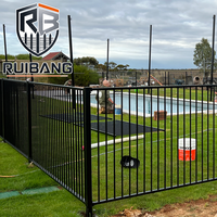 Valla de Acero con Recubrimiento en Polvo Ruibang, con Puerta a Juego, para Proyectos de Jardín en EE. UU. y Canadá
