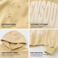 Maßgefertigter Herren-Pullover mit Applikation und Stickerei & Hoodie OEM Streetwear Schwergewicht Übergroß Distressed Crop Loose Herbstmode