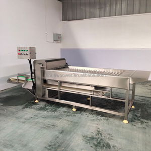 Machine de découpe de poisson de haute qualité avec fonction de retrait de la tête et de la queue, pour le traitement des segments de poisson frais (type ribbon hairtail) - Product Image 6