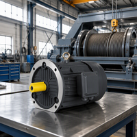 Moteur à induction basse vitesse 730 tr/min, moteur triphasé 3 kW pour treuil