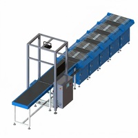 Machine de tri linéaire à bande étroite pour la distribution pharmaceutique, pliable, surdimensionnée, de deux mètres de long, avec mode de stockage intégré