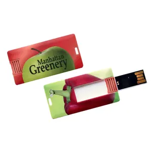 Clé USB Mini Carte, gadgets personnalisés - Product Image 1