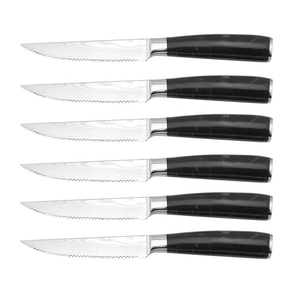 Hip-Home 6 Stück magnetische Geschenk box Fleischs chneid klinge mit schwarzem Harz griff Damaskus Muster 4,5 Zoll Steak messer Set