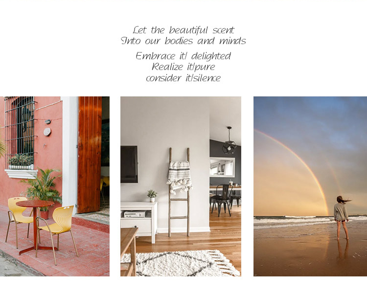 Aroma Home Customized Label Scented Reed Diffuser Fragrance Oil Home Decor 11