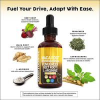 Complément Énergisant Herbal pour Adultes 60ml – Maca, Ashwagandha, Fenugrec, Racine de Betterave, L-Arginine – Gouttes Liquides – Direct Usine