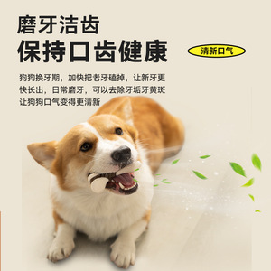 Barra de nailon con sabor a carne, duradera, tamaño mediano, para perros, juguetes para masticar para mascotas - Product Image 1