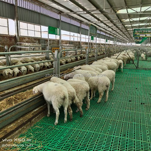 Pavimentazione in Plastica per Allevamenti di Bestiame, Pavimento a Griglia per Capre e Pecore - Product Image 6