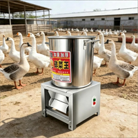 Petit broyeur alimentaire électrique pour le traitement des légumes et l'alimentation animale