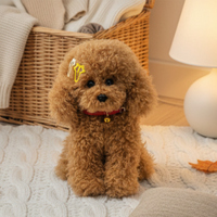 Jouet en peluche pour chien personnalisé Simulation de caniche en peluche avec des particules lestées Cadeaux d'anniversaire pour enfants