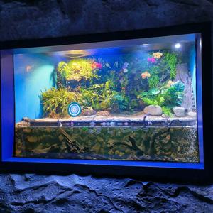 Aquarium acrylique cloisonné en plastique écologique avec séparateurs en maille pour les espèces de poissons agressifs de récifs coralliens - Product Image 2