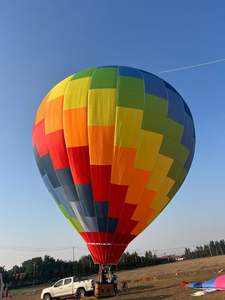 <span class=keywords><strong>Ballon</strong></span> à air chaud en Nomex en forme d'extraterrestre Zhongsheng ZS-7 21m X 17m Gonflable Mixte Couleurs Utilisation en extérieur - Product Image 4