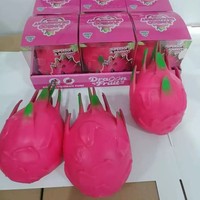 Vente en gros : Jouet de table éducatif écologique anti-stress, Squishy Pitaya souple parfumé pour la décompression et l'exposition