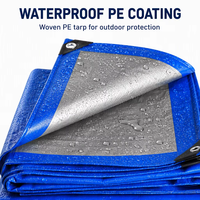 Bâche en PE 120GSM, résistante aux UV, sur mesure, couleur personnalisée, bâche en PE en gros, fournisseur d'usine en Chine