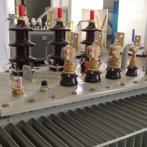 หม้อแปลงไฟฟ้าแบบจุ่มน้ำมันขนาดกะทัดรัด 500kVA 10kV สามเฟส  โซลูชันพลังงานสูง ความสูญเสียต่ำ เชื่อถือได้ มาตรฐาน IEC (S11/S13) แรงดันกลาง - Product Image 4