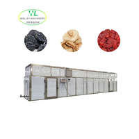 Aangepaste industriële hoog-efficiënte PLC-gestuurde roestvrijstalen 304 commerciële tunnel droogoven voor fruit met hoge suikergehalte, lade-type