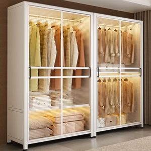 Armario de Puertas Corredizas de Acero Iyanen con Puertas de Vidrio, Organizador de Armario Moderno para Dormitorio - Product Image 1