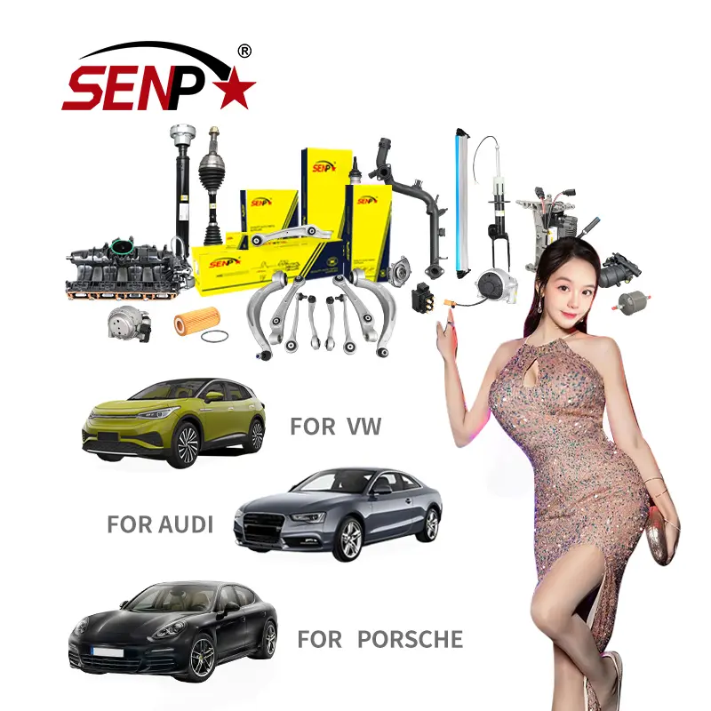 SenPei Auto Spare Car Parts Automotive Other Engine Spare Parts Accessories For AUDI VW PORSCHE All Models Parts