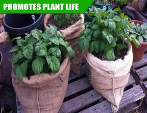 ゲーム、保管、植栽、ガーデニング、パーティー用の55x80cmの大きなヘシアンポテトと野菜の袋ジュート黄麻布バッグ - Product Image 3